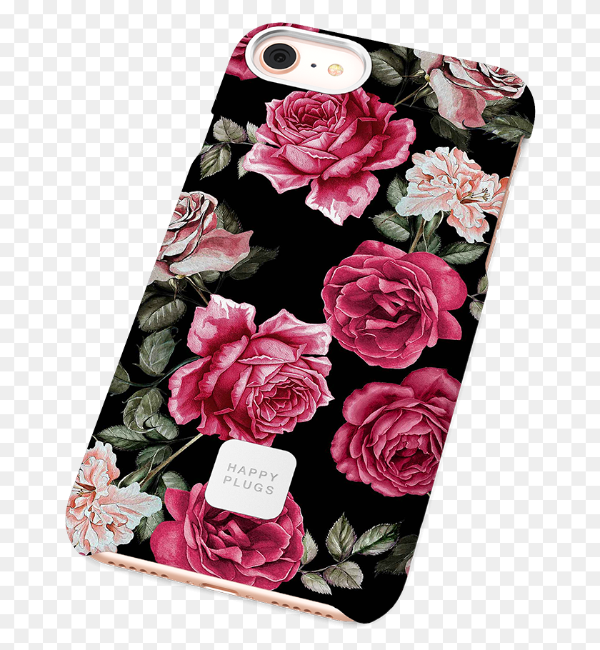 660x850 Iphone 7 Чайно-Гибридная Роза, Растение, Цветок, Цветение Hd Png Скачать
