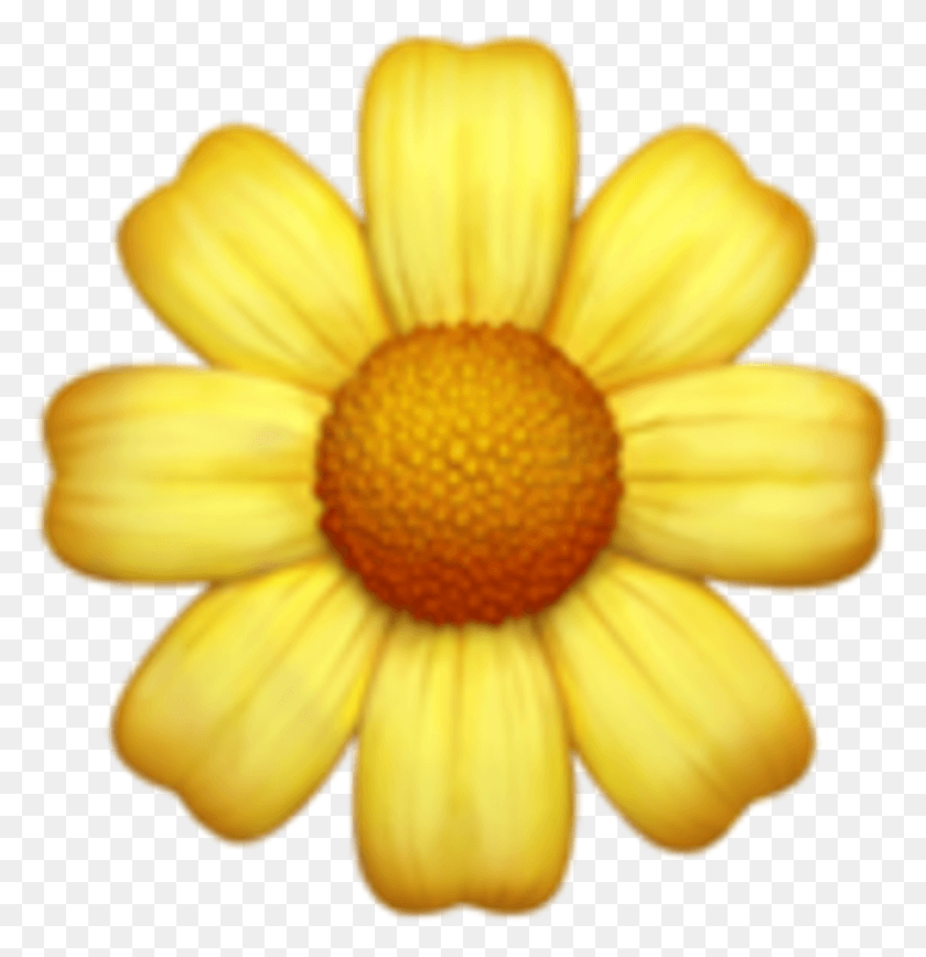 989x1025 Iphone Emoji Flowers Daisy Iphone Flower Emoji, Растение, Цветение, Ромашки Hd Png Скачать