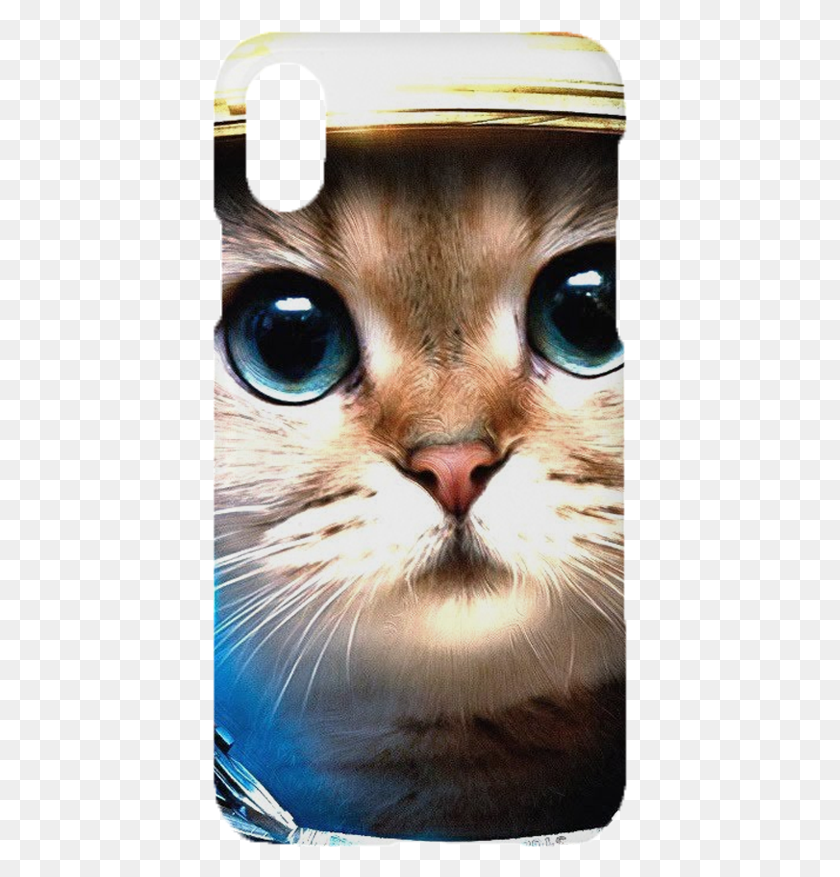 415x817 Descargar Png Iphone X Cat Design Phone Case Ava Na Vatsap, Mascota, Mamífero, Animal Hd Png