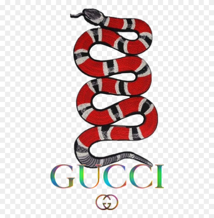 450x795 Iphone Xr Louis Vuitton Case, Reptile, Animal, King Snake HD PNG Download