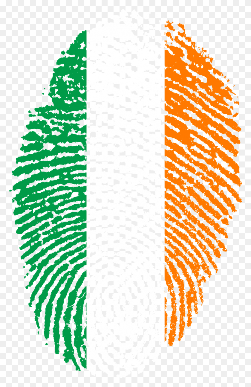 809x1280 Ireland Flag Fingerprint Country Image, Rug, Pattern, Panther HD PNG Download