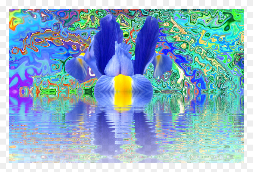 960x629 Цветение Ириса Цветение Цветок Эффект Природа Синий Иллюстрация, Графика, Вода Hd Png Скачать