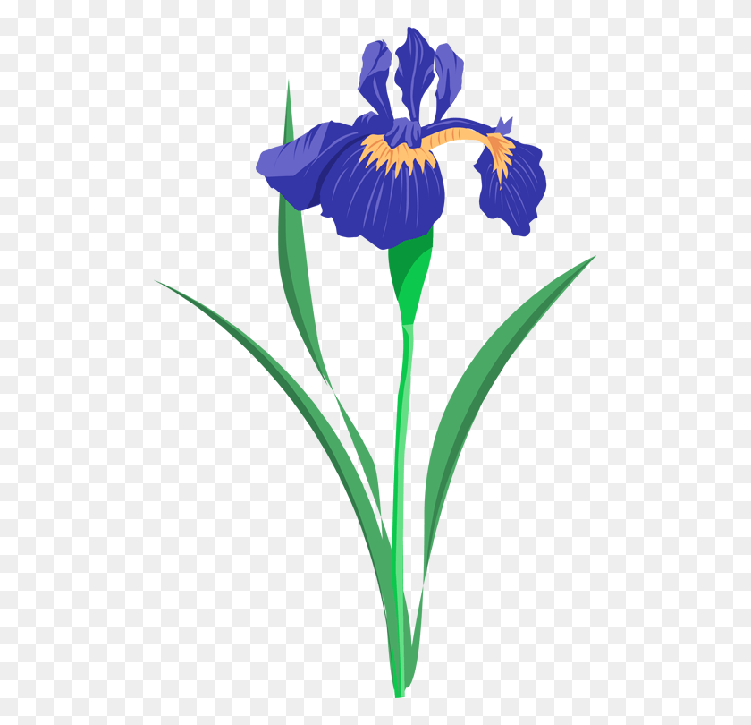 495x750 Descargar Png / Flor De Iris Azul Png