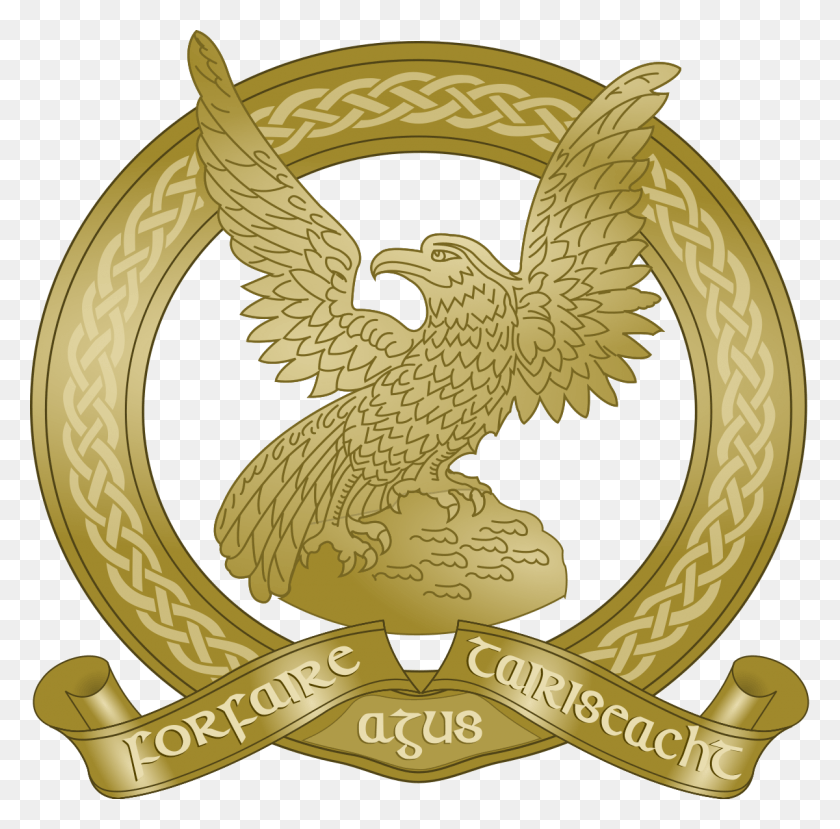 1200x1184 Irish Air Corps Logo, Symbol, Bird, Animal HD PNG Download