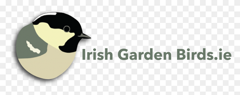 2307x806 Irish Garden Birds Iste 2015, Vehicle, Transportation, Spaceship HD PNG Download
