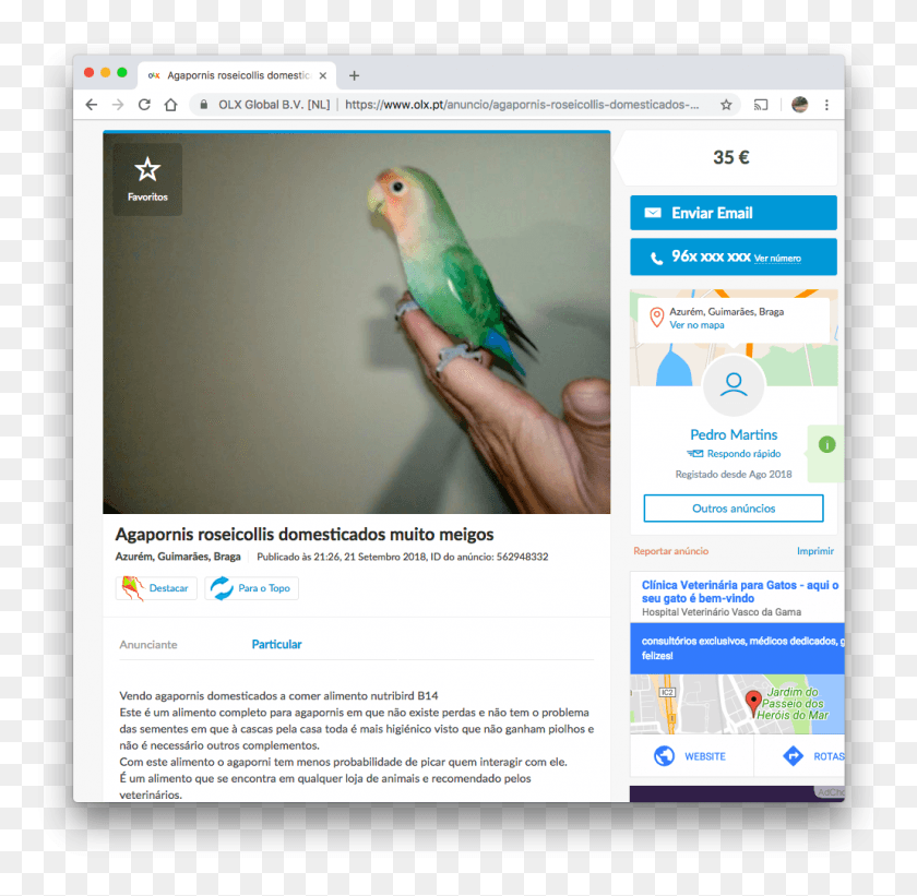 1030x1006 Is A Type Of Parrot It Just Does Not Talk Or Do Budgie, Bird, Animal, Person HD PNG Download