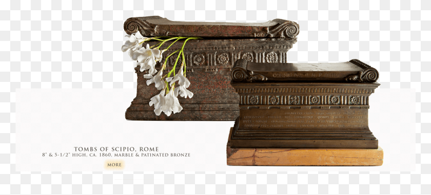 1988x819 Is This A Loss Yes Grand Tour Scipios Tomb, Plant, Flower, Blossom HD PNG Download
