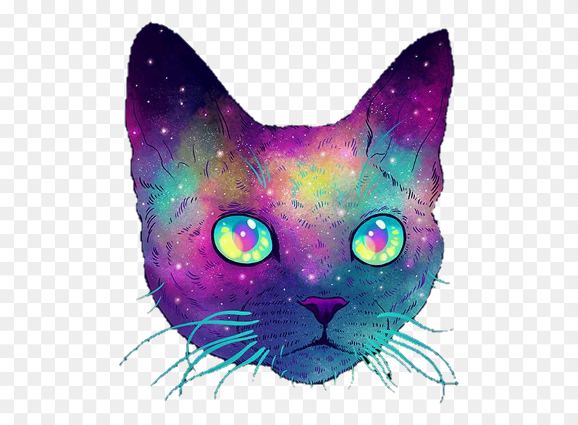 495x557 Is This Your First Heart Cat Galaxy Without Background, Graphics, Modern Art HD PNG Download