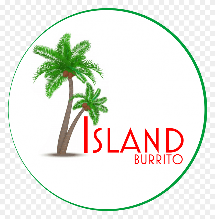 1405x1437 Island Burrito Burrito Island, Tree, Plant, Palm Tree HD PNG Download