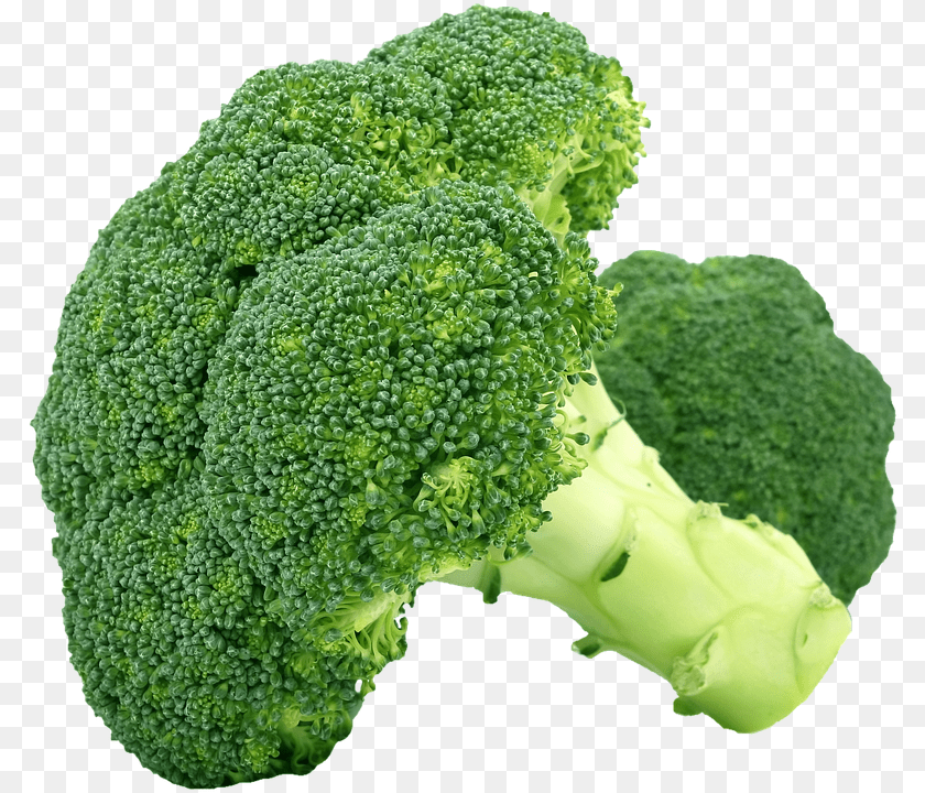 Isolated Broccoli, Food, Plant, Produce PNG