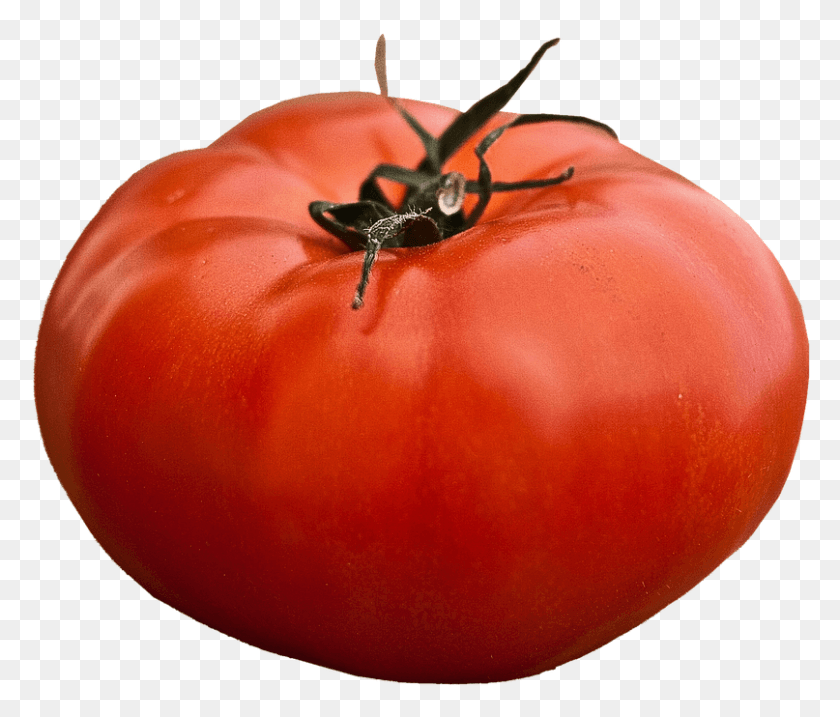 807x680 Isolated Beefsteak Tomato Vegetables Food Garden Beefsteak Tomato, Plant, Vegetable, Insect HD PNG Download