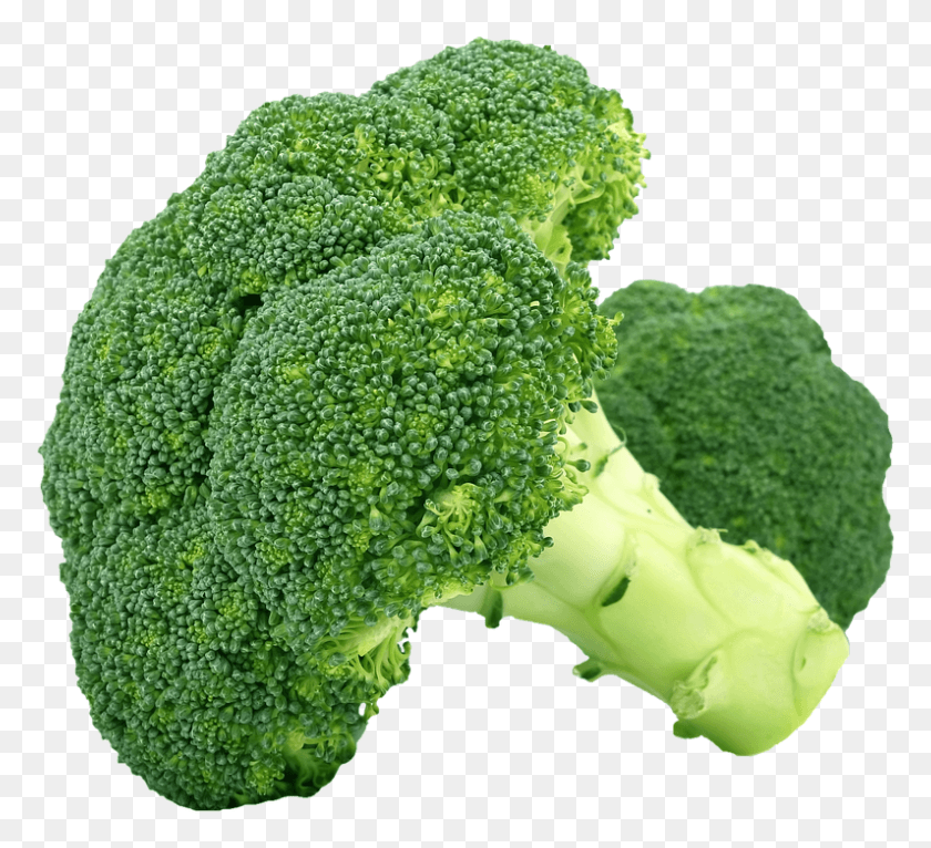 795x720 Isolated Broccoli Vegetables Healthy Food Green, Plant, Vegetable, Food HD PNG Download