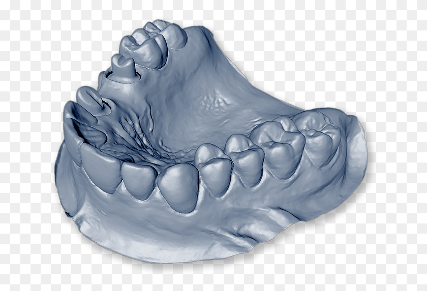 648x513 Isolated Dental Model Mandible 3d Model Dental Digital Lab Logo, Teeth, Mouth, Lip HD PNG Download