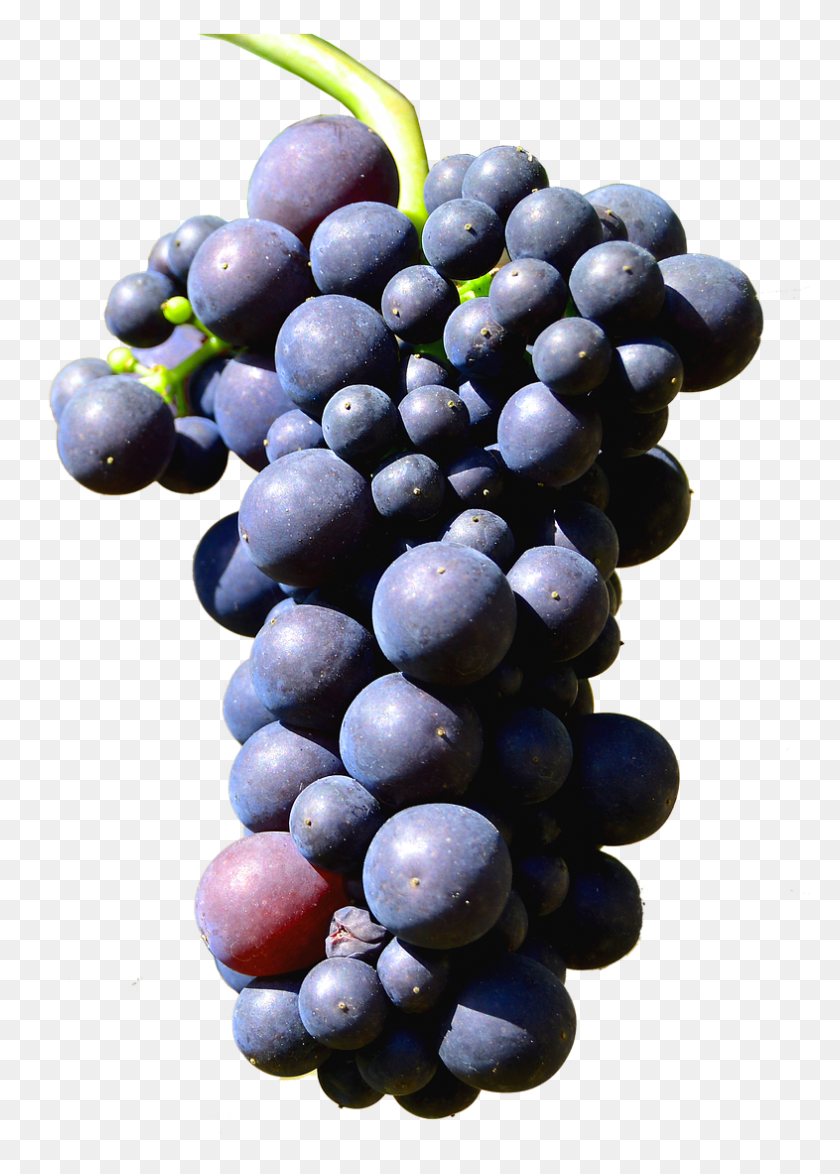 786x1123 Isolated Grapes Henkel Grape Image Isolated Grapes, Plant, Fruit, Food HD PNG Download