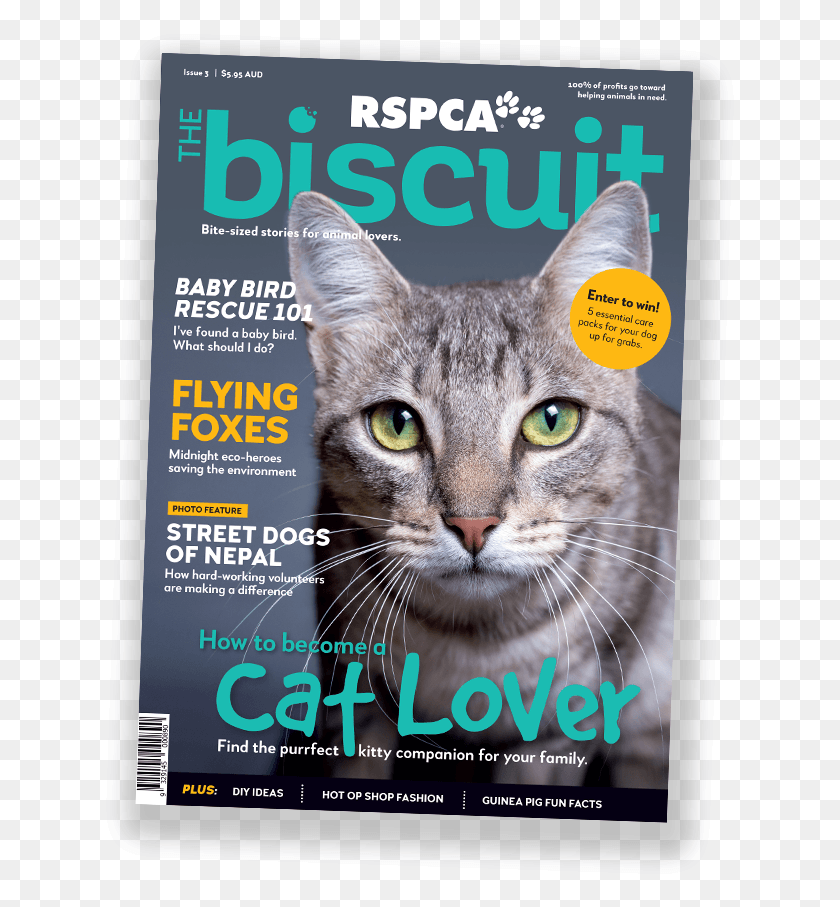633x847 Issue 3 Rspca, Cat, Pet, Mammal HD PNG Download