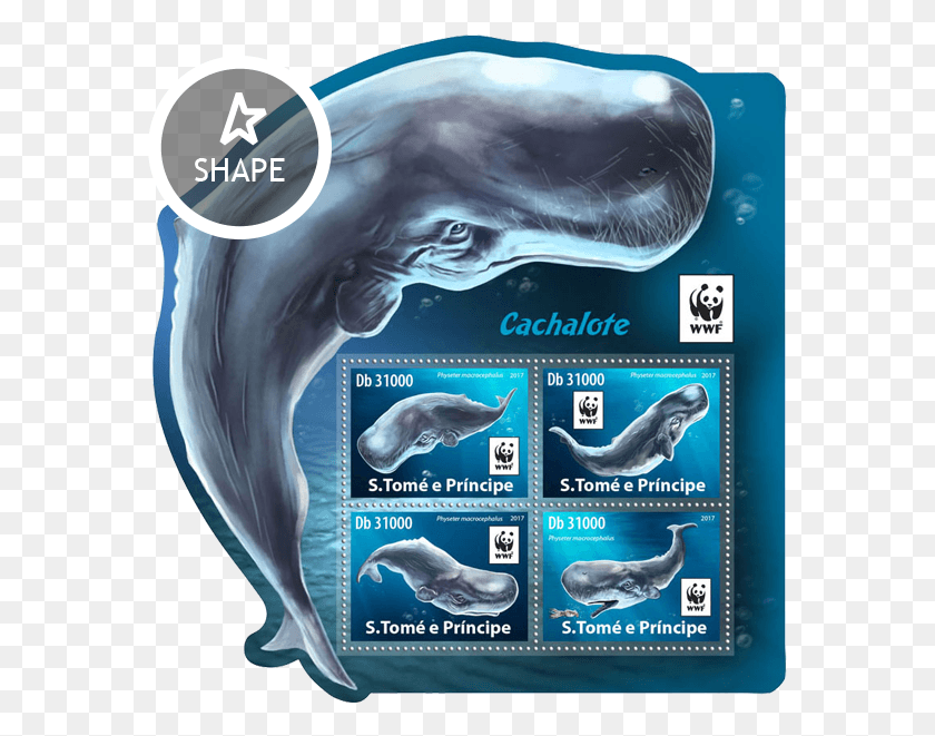575x601 Issue Of Sao Tome And Principe Postage Stamps Humpback Whale, Sea Life, Animal, Water HD PNG Download