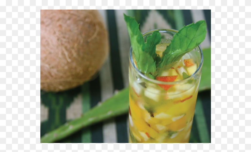 572x447 It Is A Traditional Salvadorian Ensalada Drink And Dish, Cocktail, Alcohol, Beverage HD PNG Download
