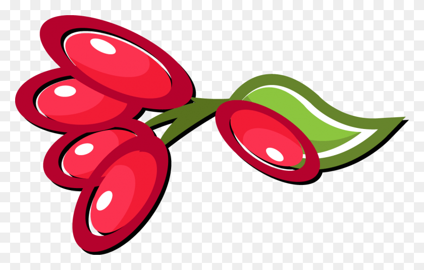 1138x693 It Is After All An Exotic Fruit Extract, Plant, Radish, Vegetable HD PNG Download