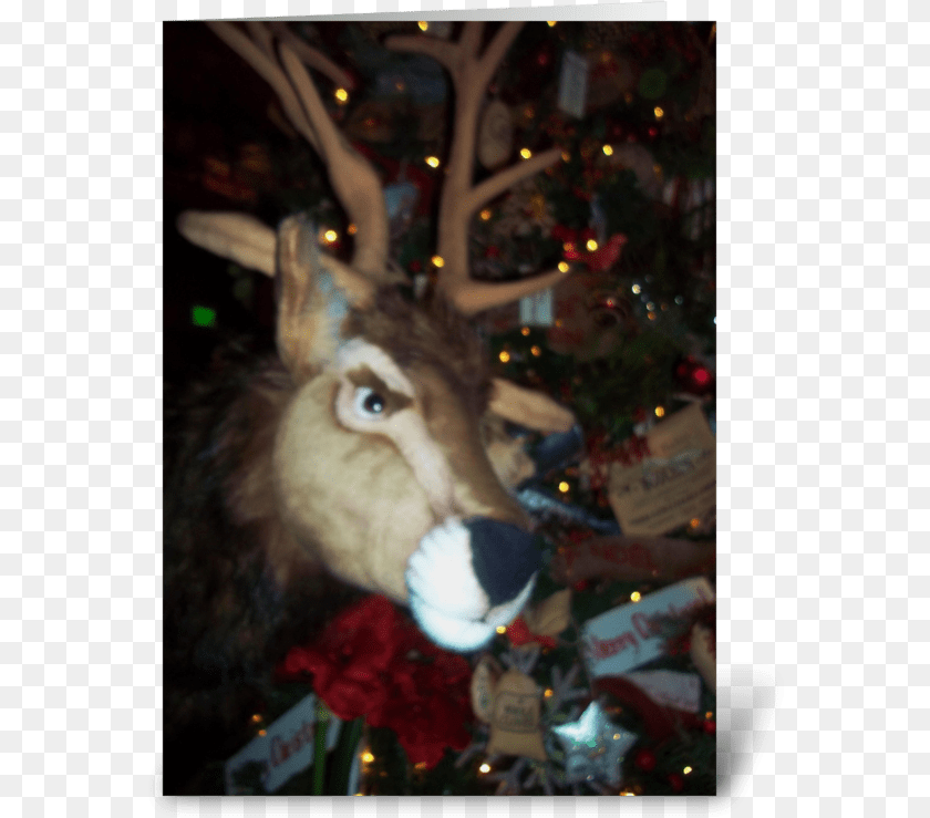 575x739 It Is Christmas Deer Greeting Card Reindeer, Animal, Mammal, Wildlife, Antler Transparent PNG