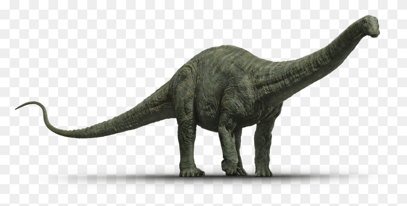 1337x627 It Is Similar To The Existing Wetland Skin But It39s Jurassic World Apatosaurus, Dinosaur, Reptile, Animal HD PNG Download