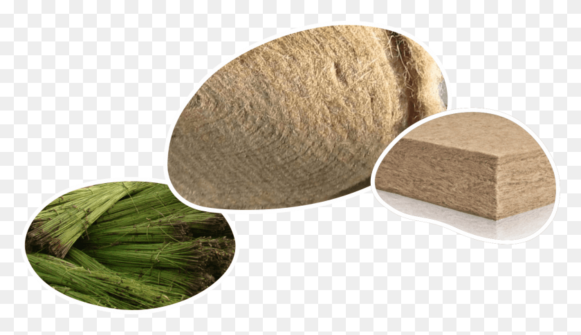 1500x819 It Perfectly Regulates The Indoor And Outdoor Humidity Rock, Plant, Food, Vegetable HD PNG Download