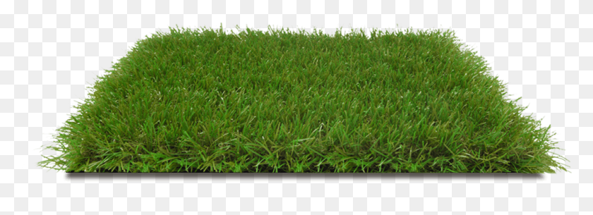 1007x317 Italgreen Landscape Erba Sintetica Giardino Wild Pelouse, Grass, Plant, Lawn HD PNG Download