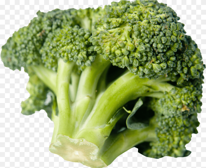 943x769 Italica Group, Broccoli, Food, Plant, Produce Clipart PNG