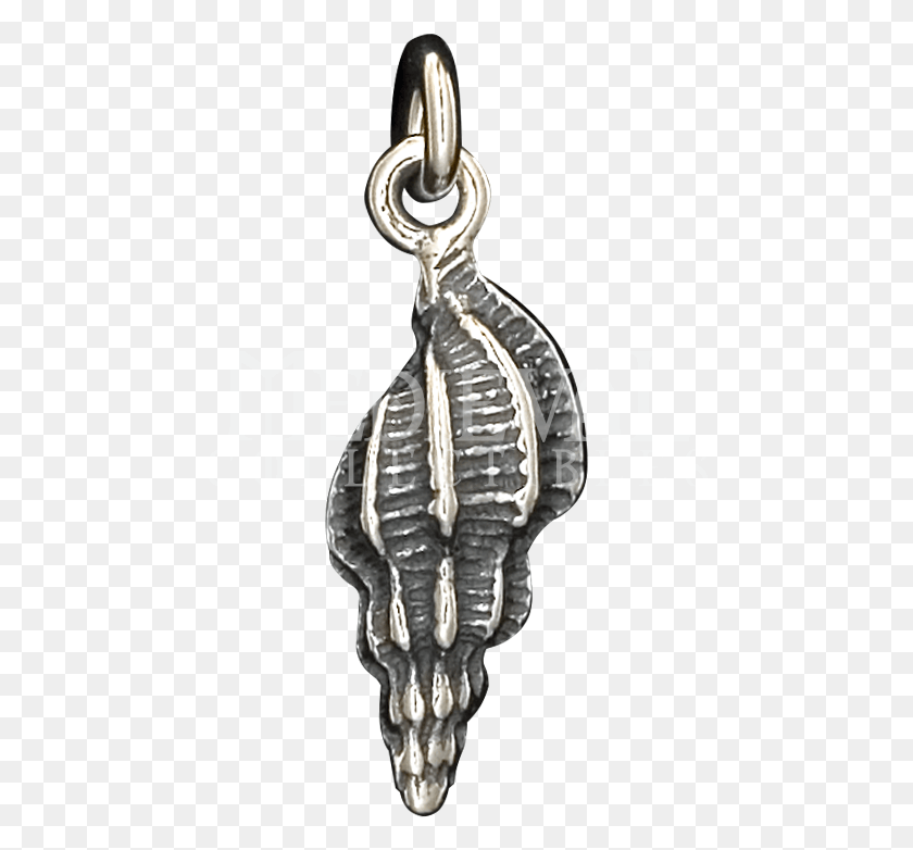 462x722 Item Beach Themed Necklace Transparent, Torso, Fossil, Skeleton HD PNG Download