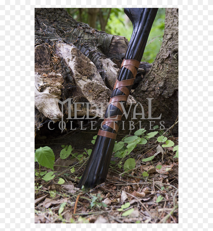569x851 Item Spear, Plant, Wood, Arrow HD PNG Download