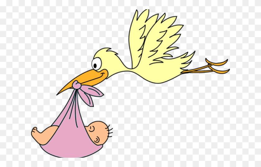 640x480 Its A Boy Poster, Bird, Animal, Person HD PNG Download