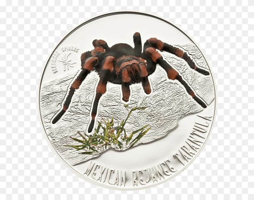 600x600 Su Moneda De Plata 925 De 1 Dólar De Niue, Persona, Humano, Animal Hd Png