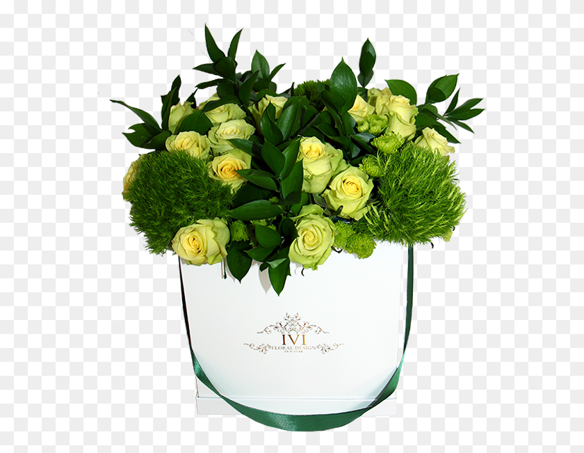 561x591 Ivi Floral Design Luxury Boxed Flowers New York Garden Roses, Graphics, Pattern HD PNG Download