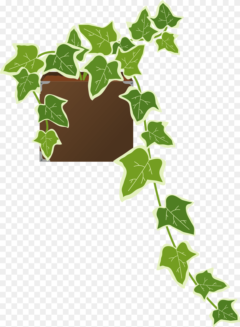 1411x1920 Ivy Houseplant Clipart, Leaf, Plant Sticker PNG