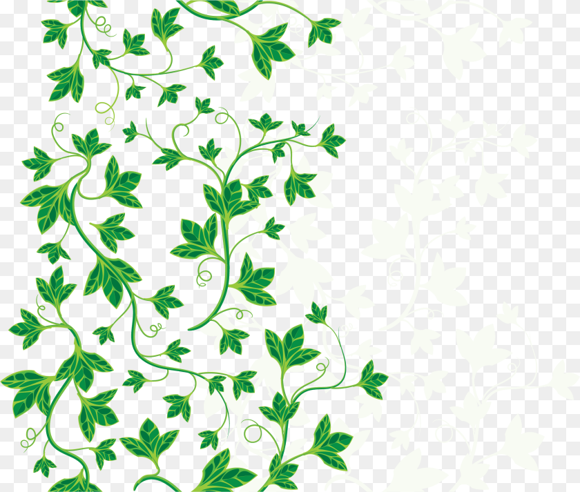 2408x2044 Ivy Leaves, Art, Floral Design, Graphics, Pattern Sticker PNG