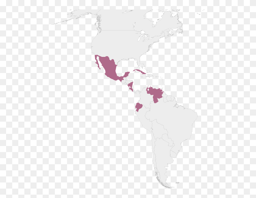 503x591 Descargar Png Iwpr En América Latina África Occidental En Un Mapa Del Mundo, Mapa, Diagrama Hd Png