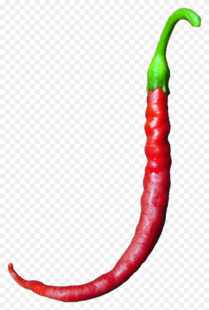 1376x2099 J Pepper Image Bird39S Eye Chili, Растение, Овощи, Еда Png Скачать