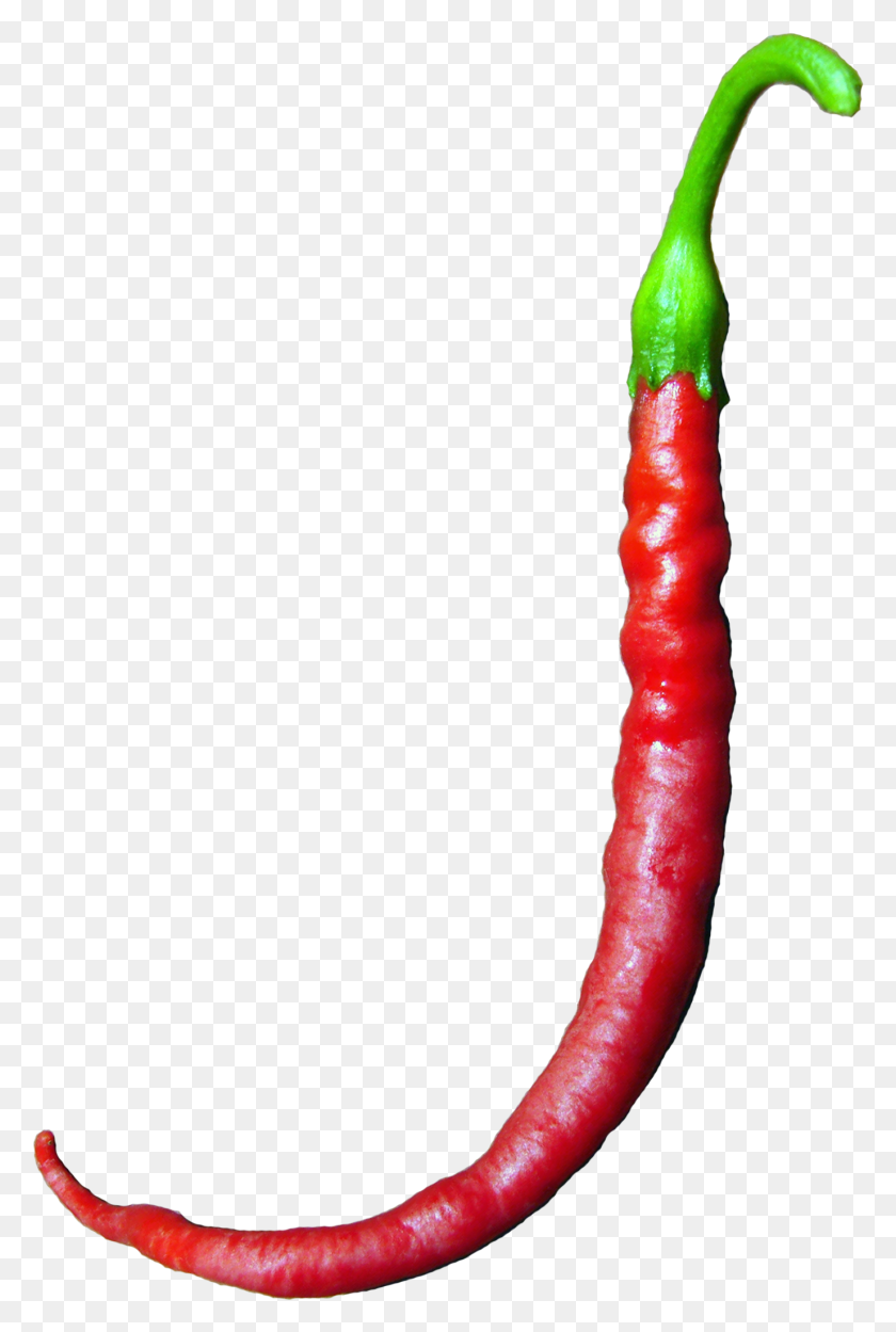 1376x2099 Descargar Png J Pepper Image Bird39S Eye Chili, Planta, Vegetal, Alimentos Hd Png