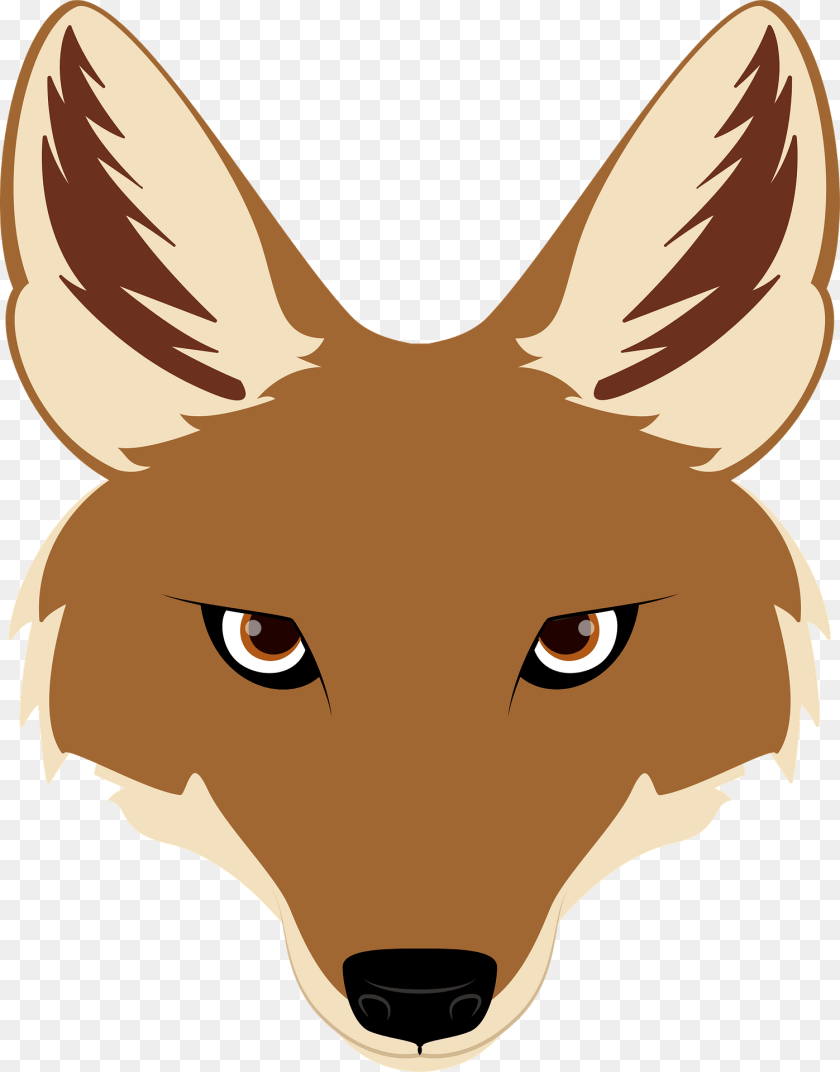 Jackal Face Clipart, Animal, Coyote, Mammal, Shark Sticker PNG