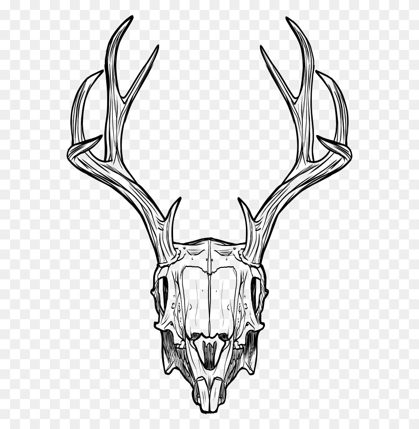 574x800 Jackalope Deer Animal Skulls Horn Jackalope Skull, Gray, World Of Warcraft HD PNG Download