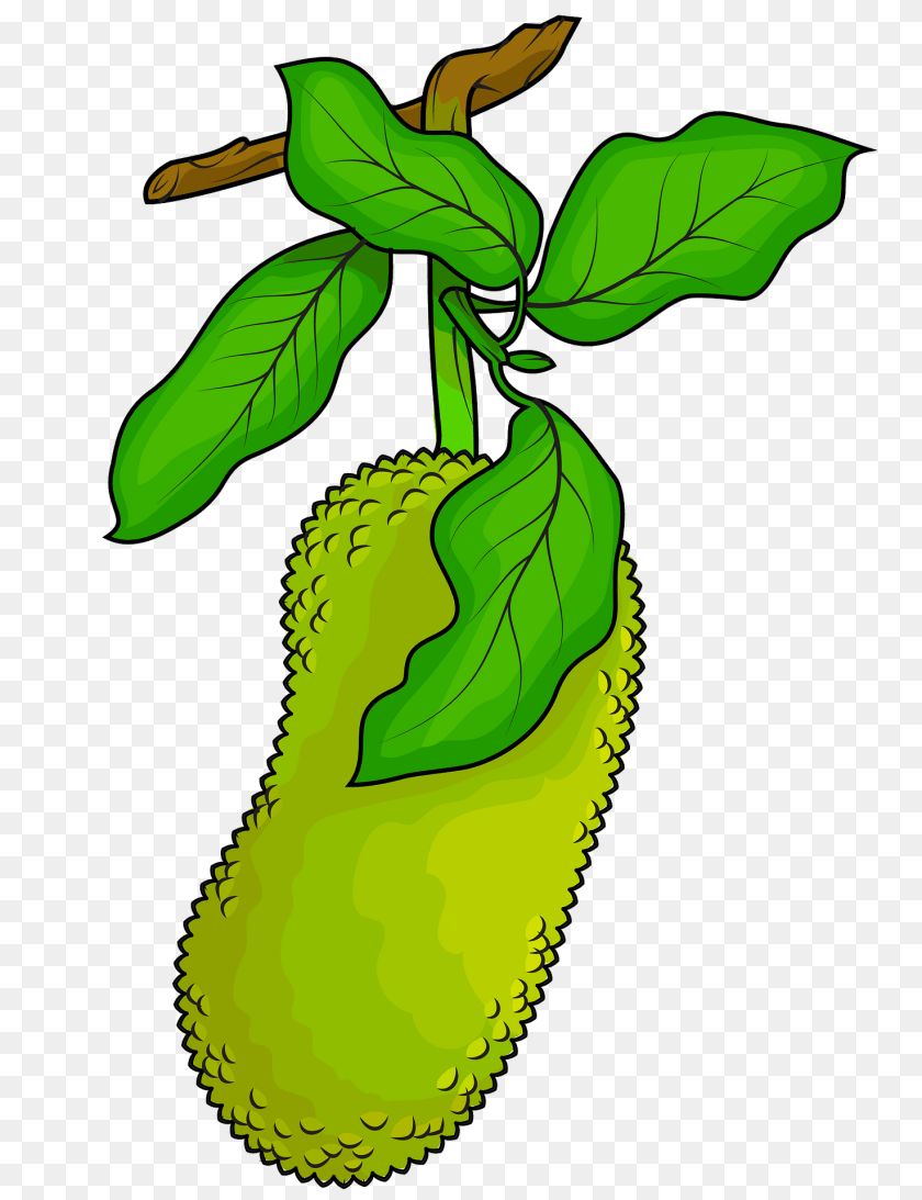 Jackfruit Food, Fruit, Plant, Produce Clipart PNG