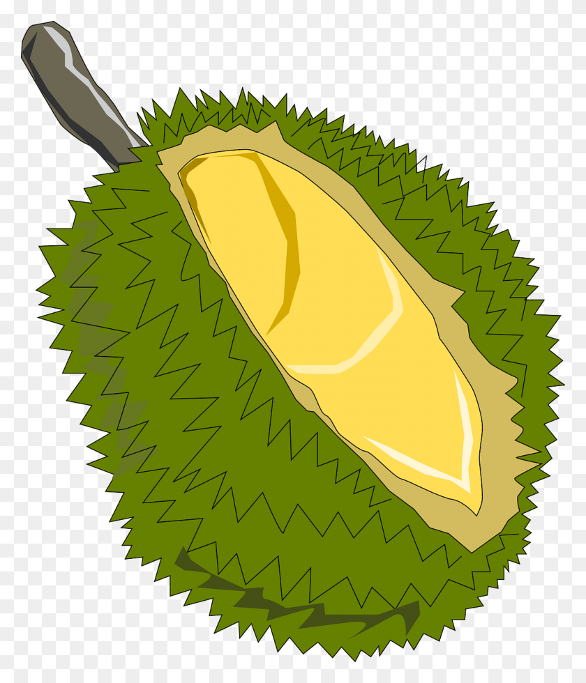 1085x1280 La Fruta De Yaca, Guanábana Exótica Imagen Durian Clipart, Planta, Producir, Alimentos Hd Png