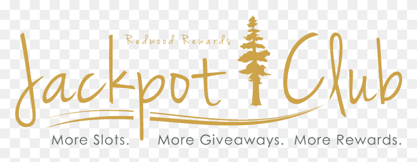1178x405 Jackpot Club Logo Baby Products, Text, Tree, Plant HD PNG Download