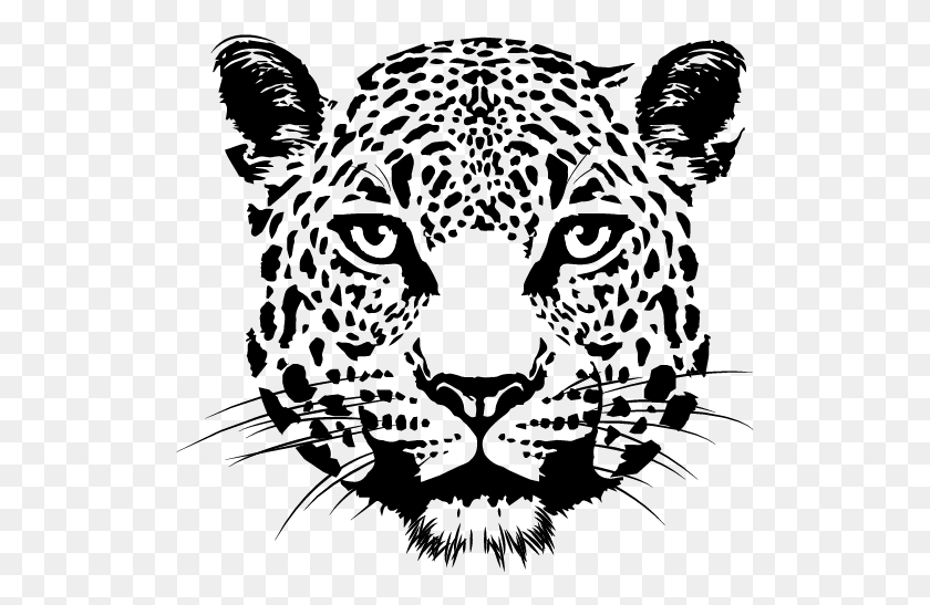 523x487 Ягуар, Млекопитающее, Животное, Домашнее Животное Hd Png Скачать