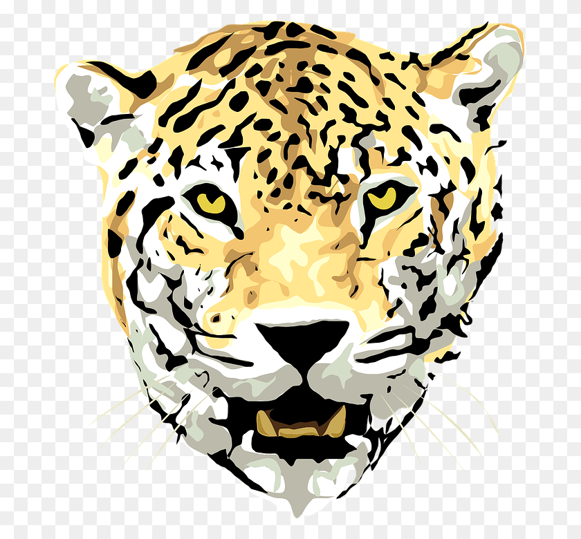 683x720 Jaguar, Mamífero, Animal, Pantera Hd Png