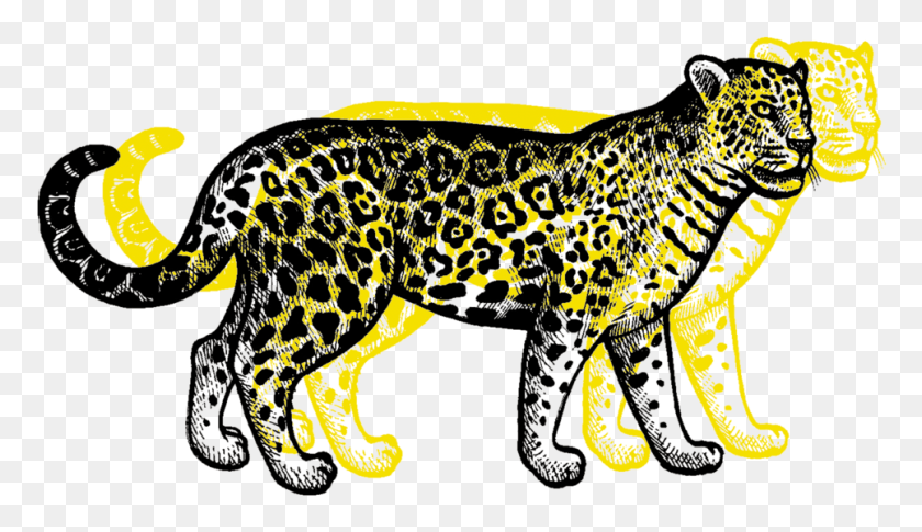 965x527 Ягуар Дымчатый Леопард, Гепард, Дикая Природа, Млекопитающие Png Скачать