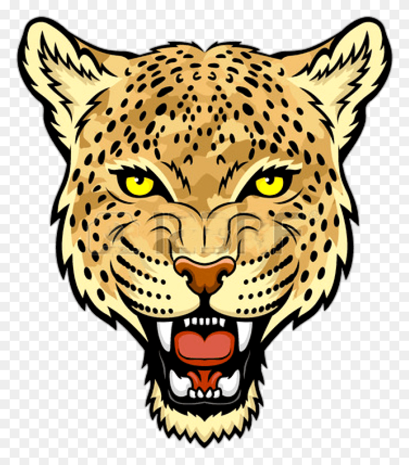 1049x1205 Морда Ягуара Прозрачная Картинка Голова Леопарда, Млекопитающее, Животное, Дикая Природа Png Скачать
