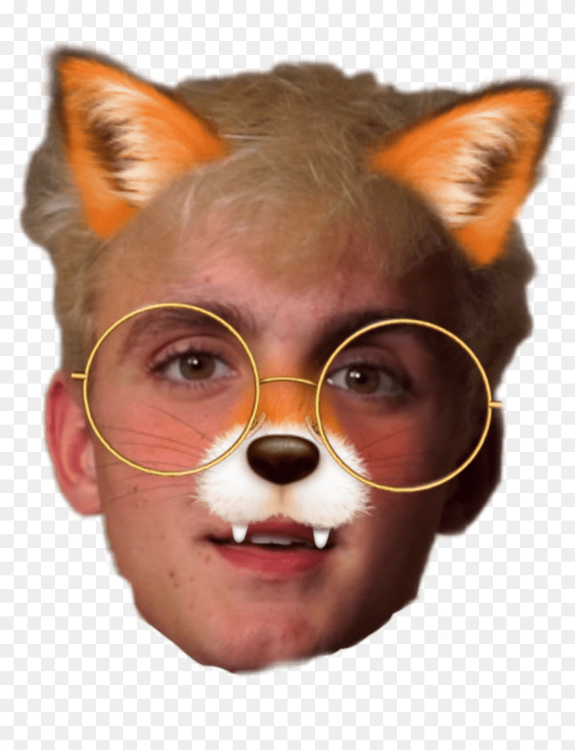 838x1095 Jakepaulface Facejakepaul Jakepaul Jake Memejakepaul Red Panda, Accessories, Person, Man, Male PNG