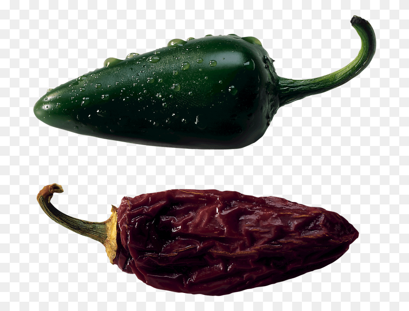 706x579 Jalapeno Pepper Tabasco Pepper, Plant, Vegetable, Food HD PNG Download