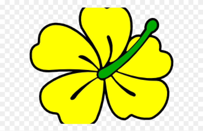 601x481 Ямайка Клипарт Гавайский Цветок, Растение, Цветок, Цветение Hd Png Скачать