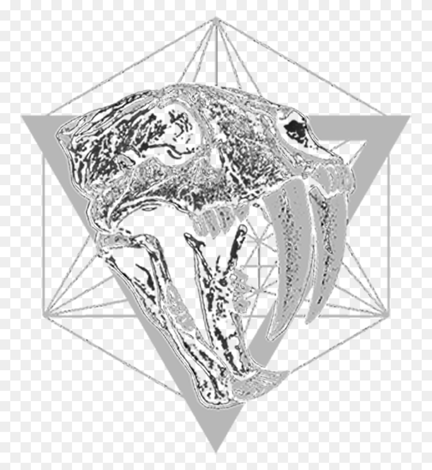 763x854 Descargar Png James Brown Infoovejanegracigars Ilustración, Esqueleto, Mandíbula, Rayos X Hd Png